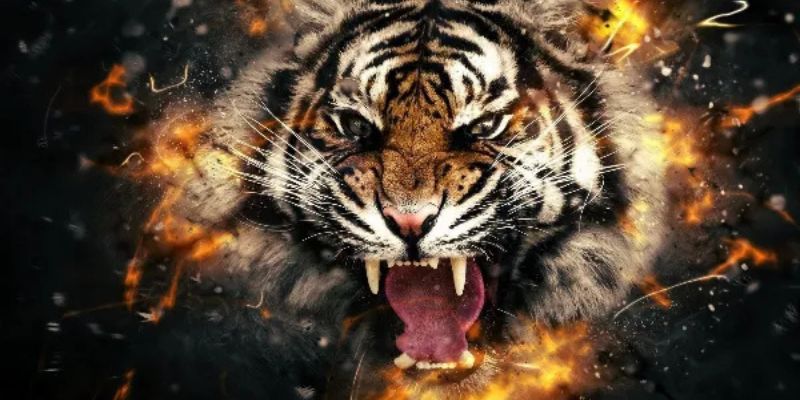 Mơ Thấy Hổ Vàng – Giải Mã Vận Cát, Tài Lộc Cùng Jun88 5 Hình tượng hổ vàng tượng trưng cho cát khí và tài lộc bền vững.